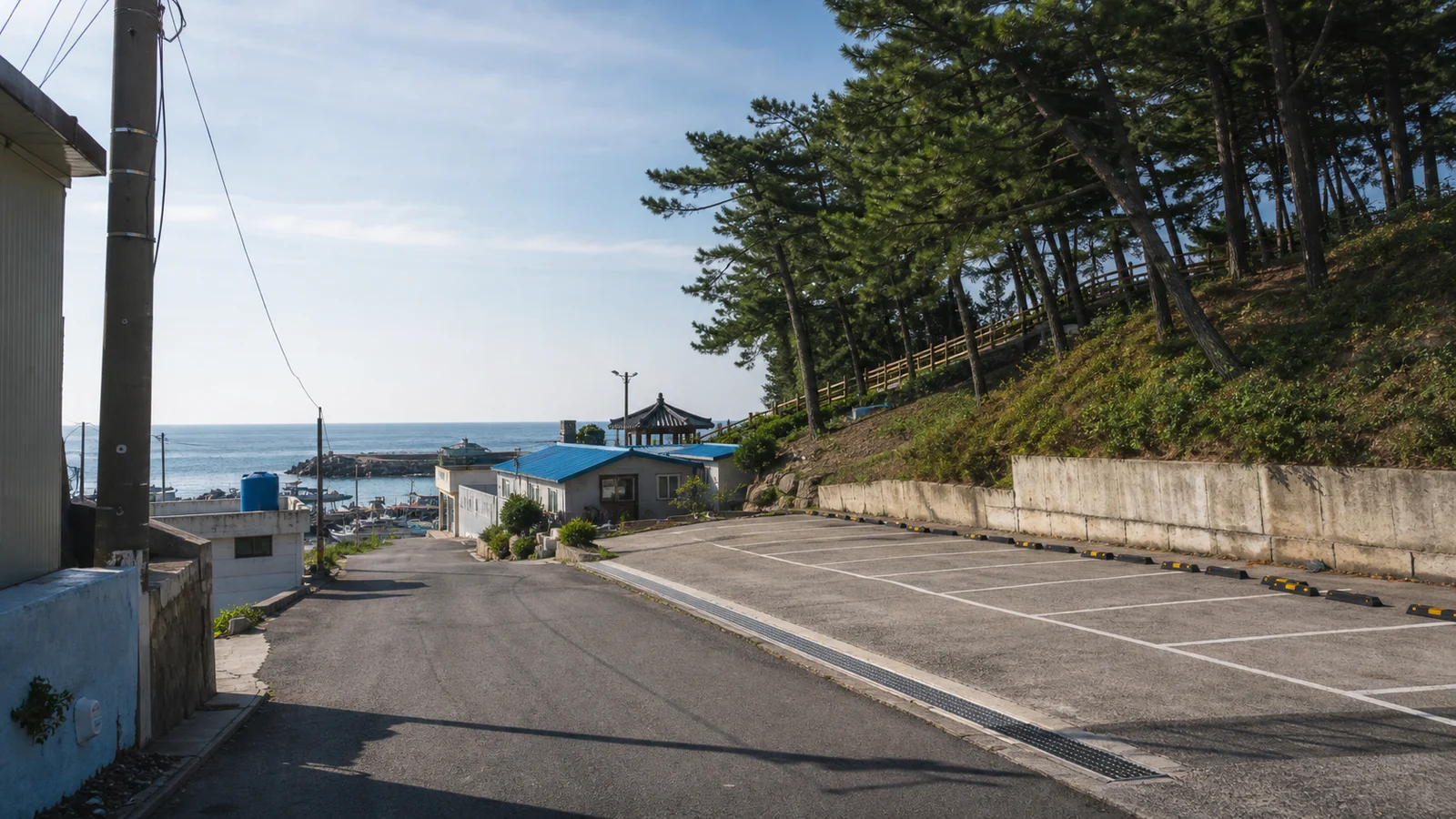삼척 장호항 주변 주차 접근 도로