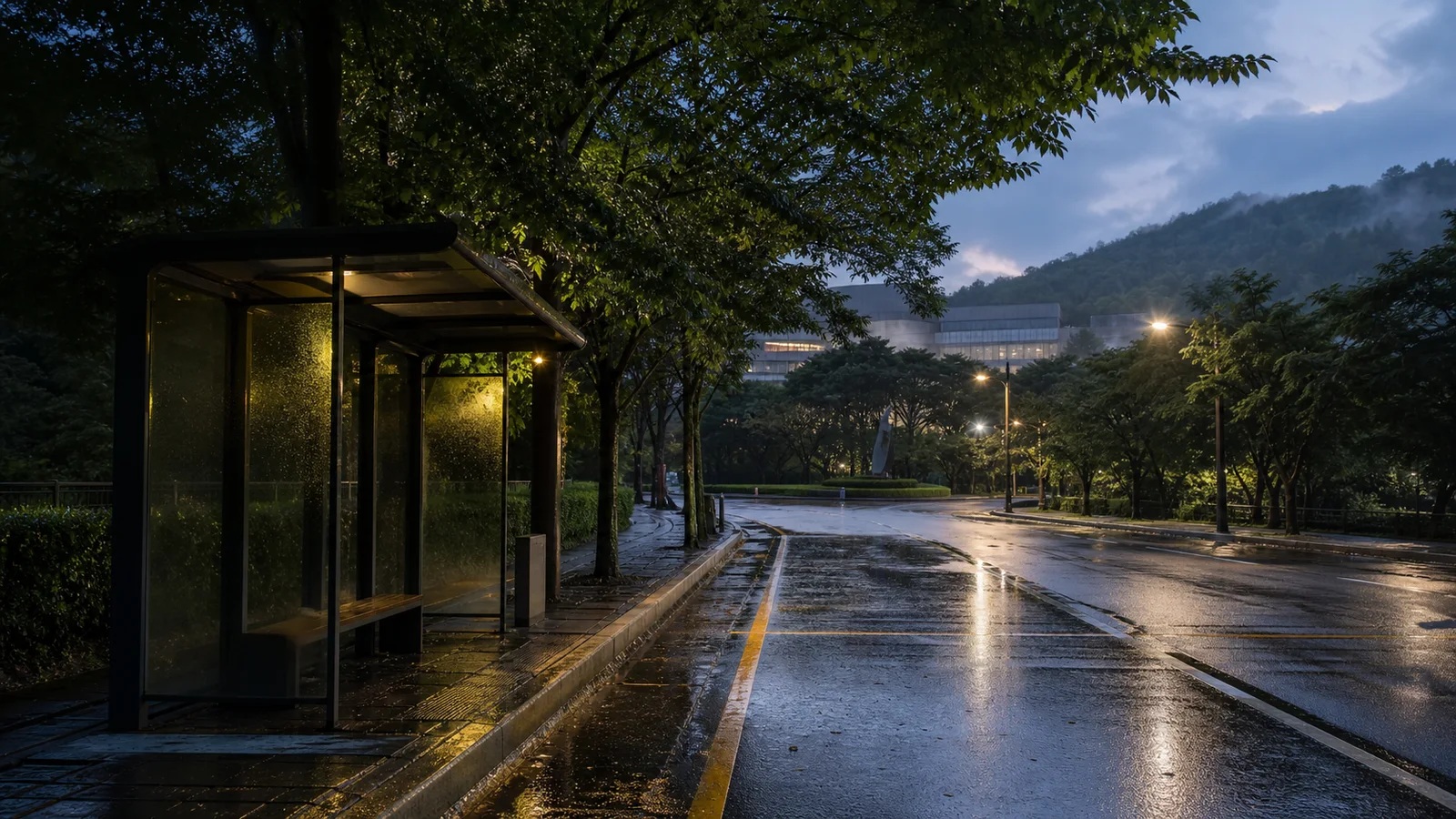 저녁 빗속 미술관 셔틀 정류장과 젖은 나무길