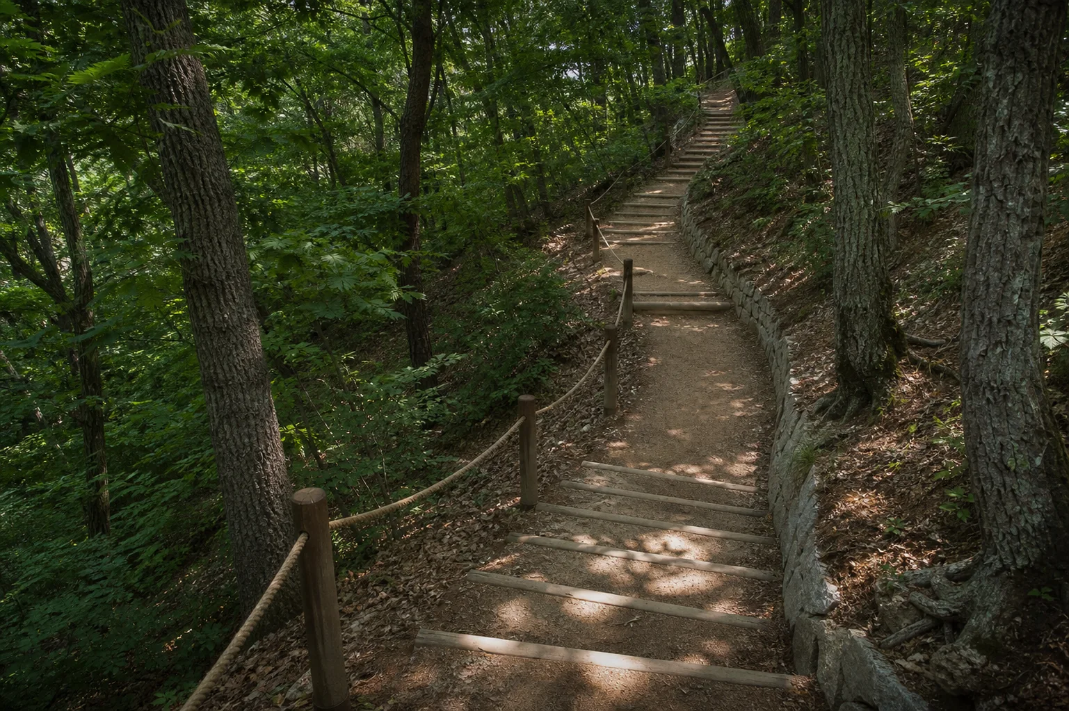 오도산 숲속 계단길과 로프가 있는 산책 동선