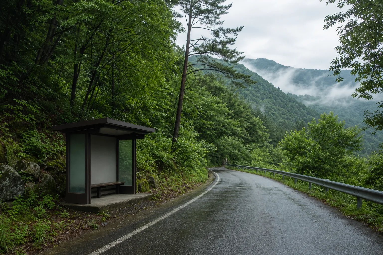 민둥산 돌리네로 향하는 조용한 산간 진입로