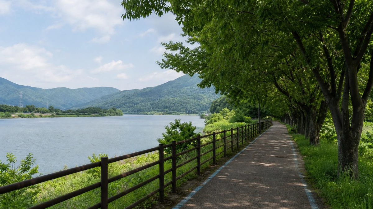 자라섬 북한강 변 산책로