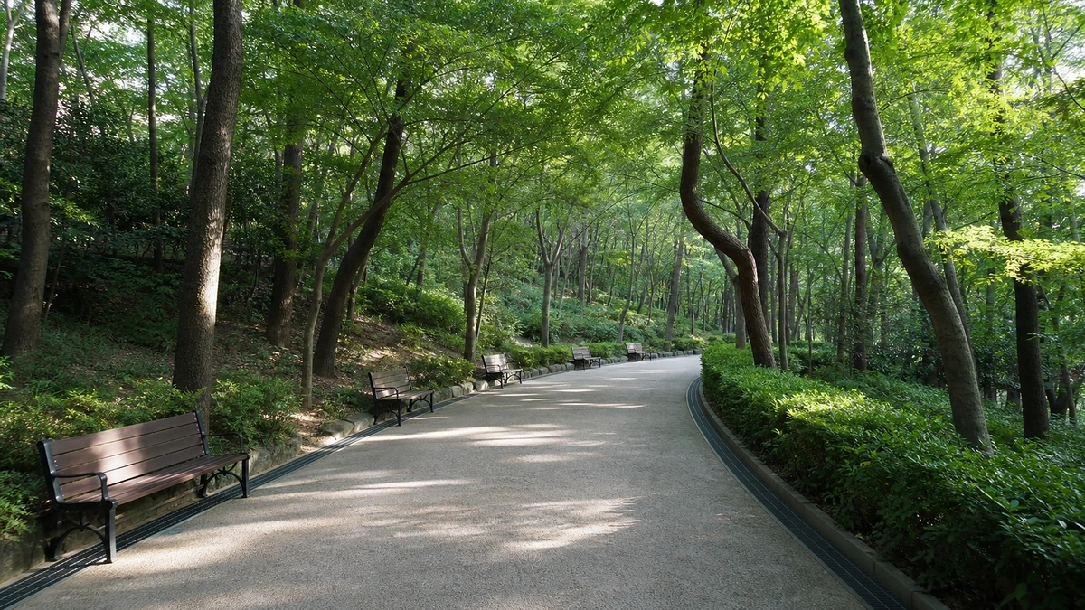 대천공원에서 장산 산림욕장 방향으로 이어지는 완만한 숲길과 벤치