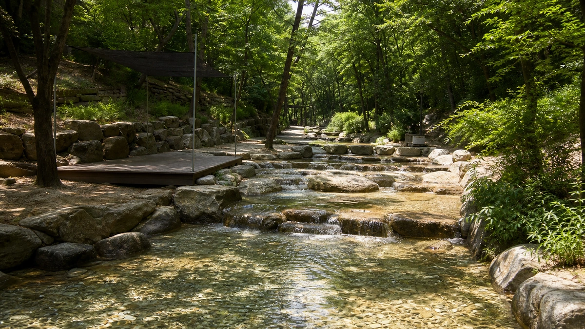 불암산 힐링공원 숲속 돌계단을 따라 흐르는 얕은 인공계곡