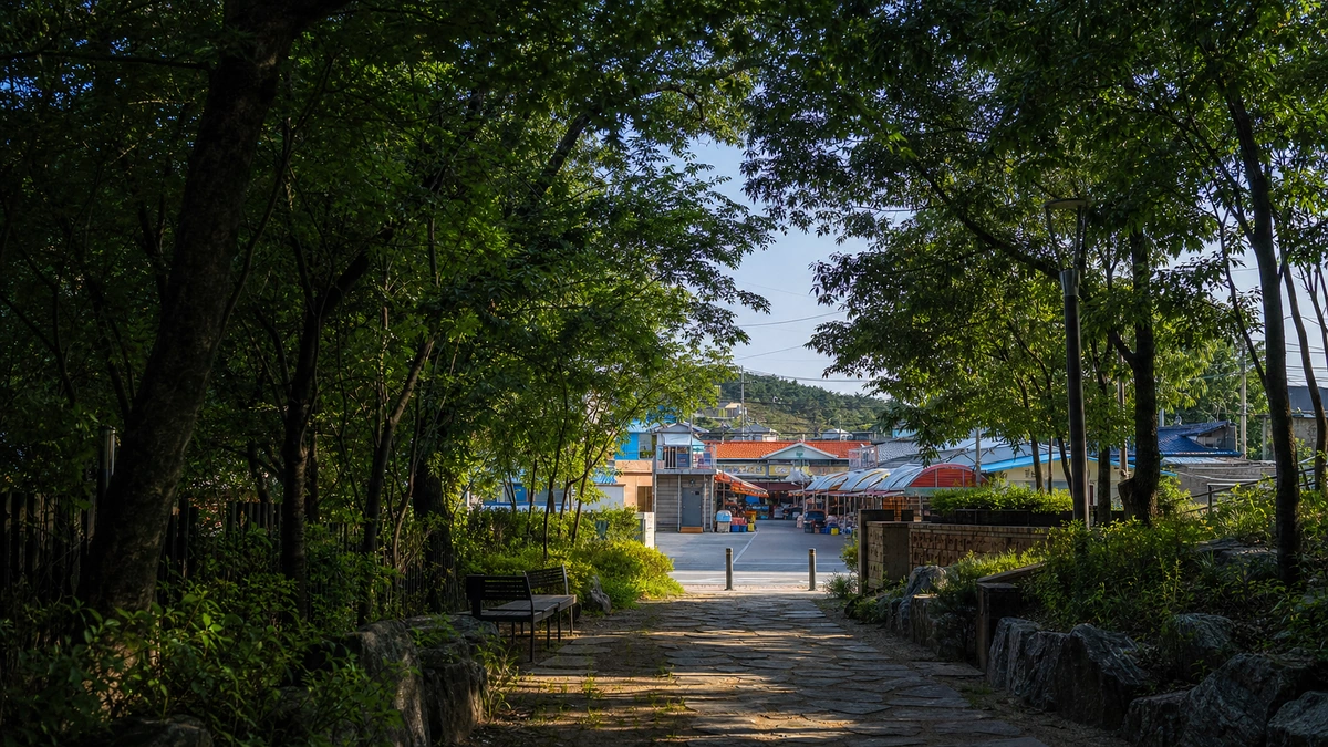 태안 샘골도시공원의 짙은 나무 그늘과 채석포 방향 작은 시장 거리