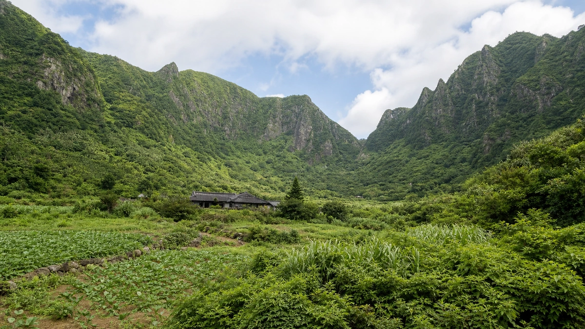울릉도 나리분지를 둘러싼 초록 산벽과 여름 밭