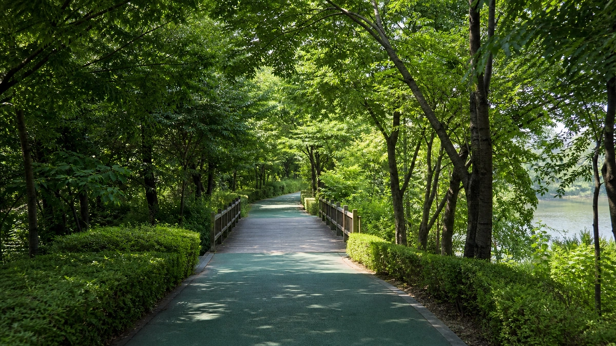 아산 신정호의 녹색 포장 산책로가 짧은 목교와 숲 그늘로 이어지는 이동 동선