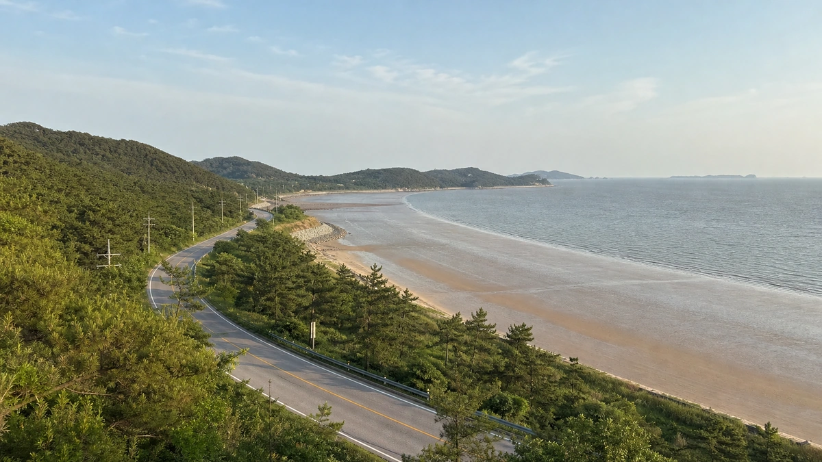 부안 변산해안도로의 숲과 갯벌을 따라 굽어지는 여름 해안도로 전경
