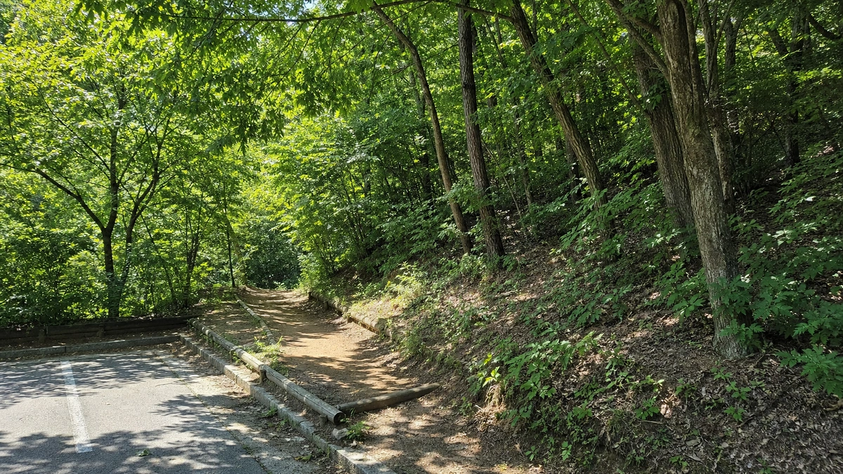 태학산자연휴양림 주차 공간 가장자리에서 흙길로 이어지는 숲 진입로