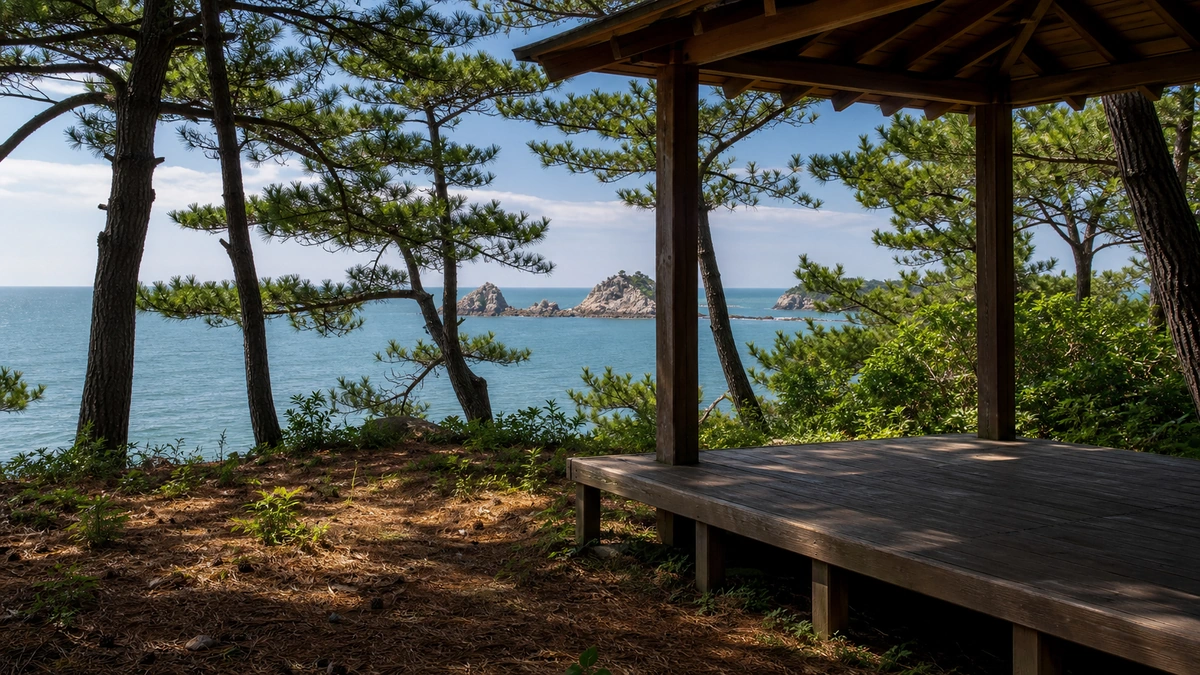 군산 장자도 해송 그늘의 나무 쉼터와 서해 바다 조망