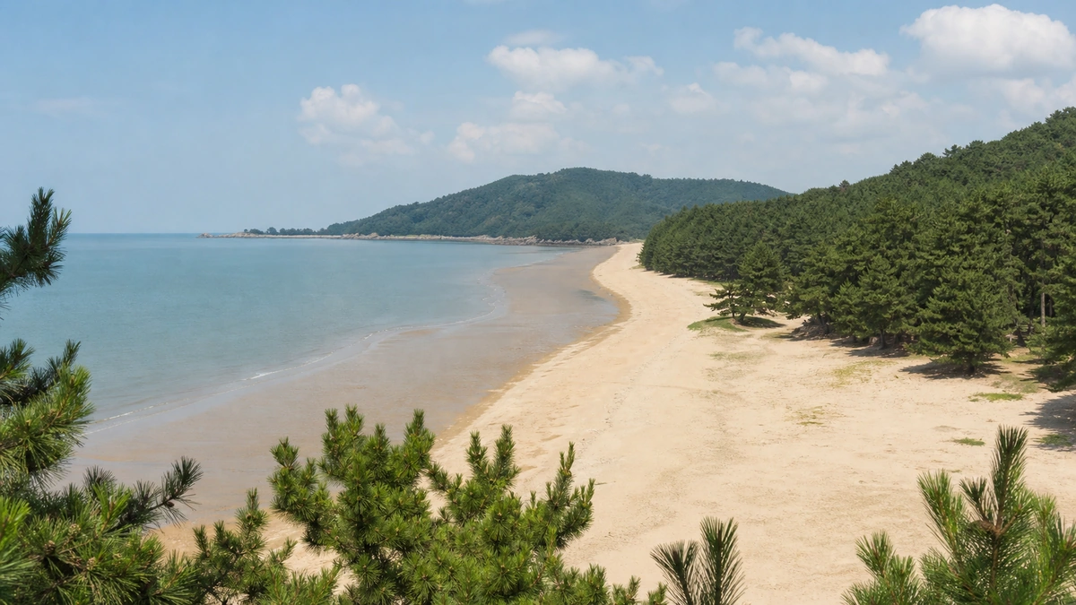 서천 춘장대해수욕장의 넓고 완만한 백사장과 해송림 전경