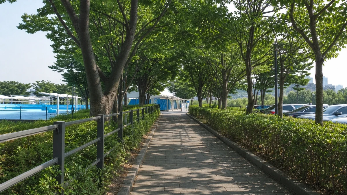나무 그늘 아래 뚝섬한강공원 수영장 접근 보행로와 주차 구역