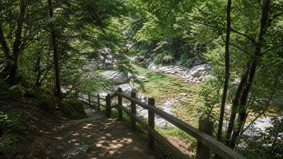 가평군 산지 계곡의 활엽수 그늘과 화강암 물길 접근로