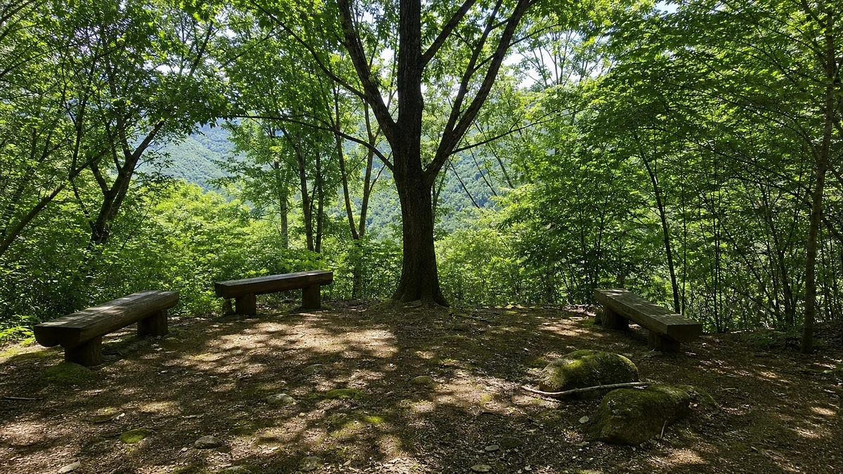 무주 향로산자연휴양림 늦은 오후 숲속 산책 동선과 자연 개방지