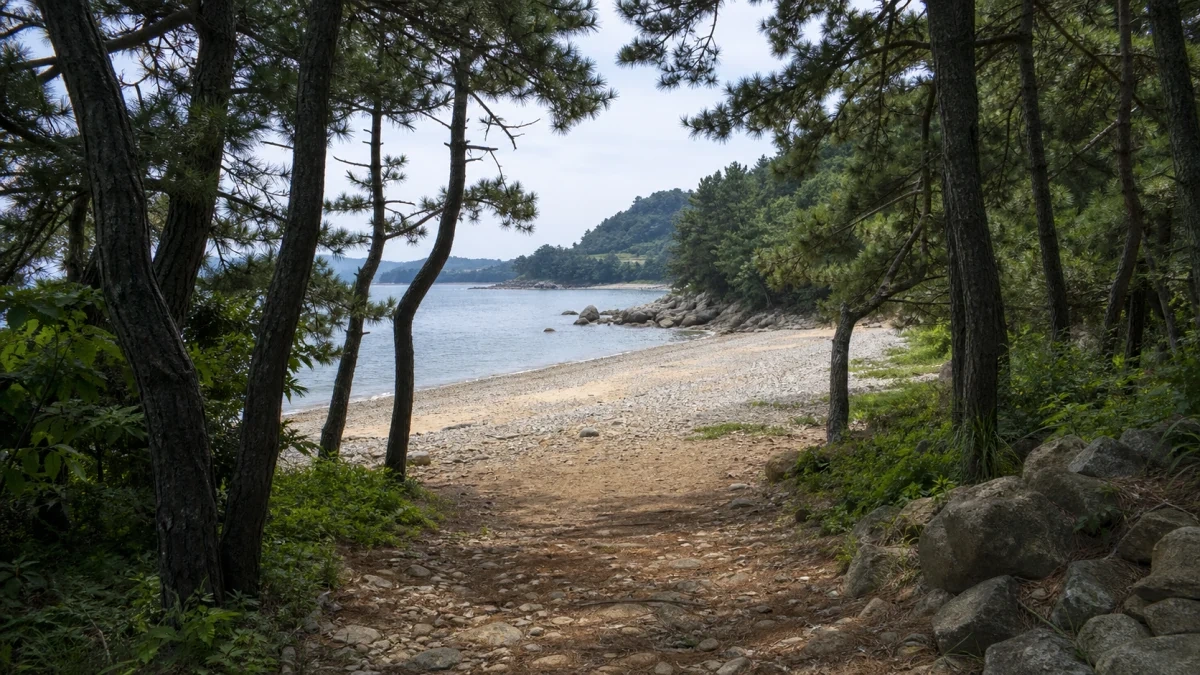 남해 두곡·월포해수욕장 소나무 숲 사이의 해변 진입로