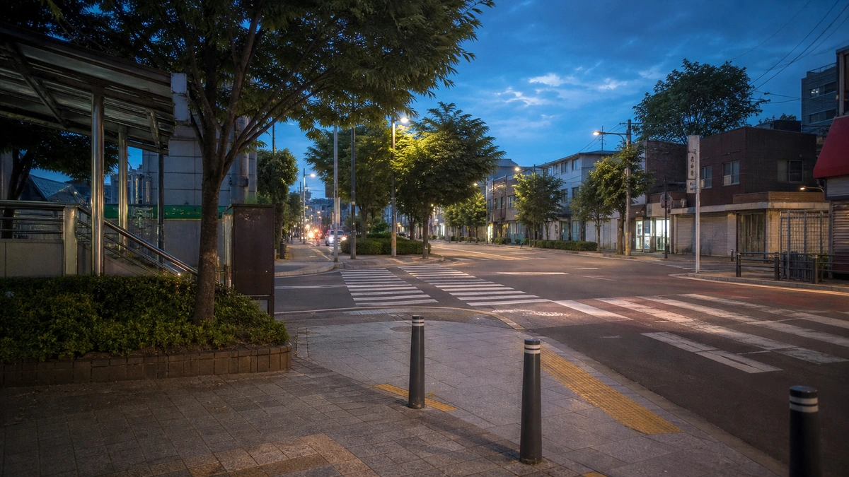 왕십리도선동상점가 가로수와 여름밤 조명이 이어지는 거리 디테일