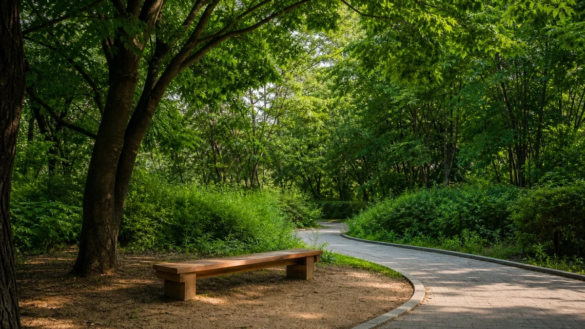 서울숲의 짙은 활엽수 그늘 아래 목재 벤치와 굽은 산책로가 놓인 여름 풍경
