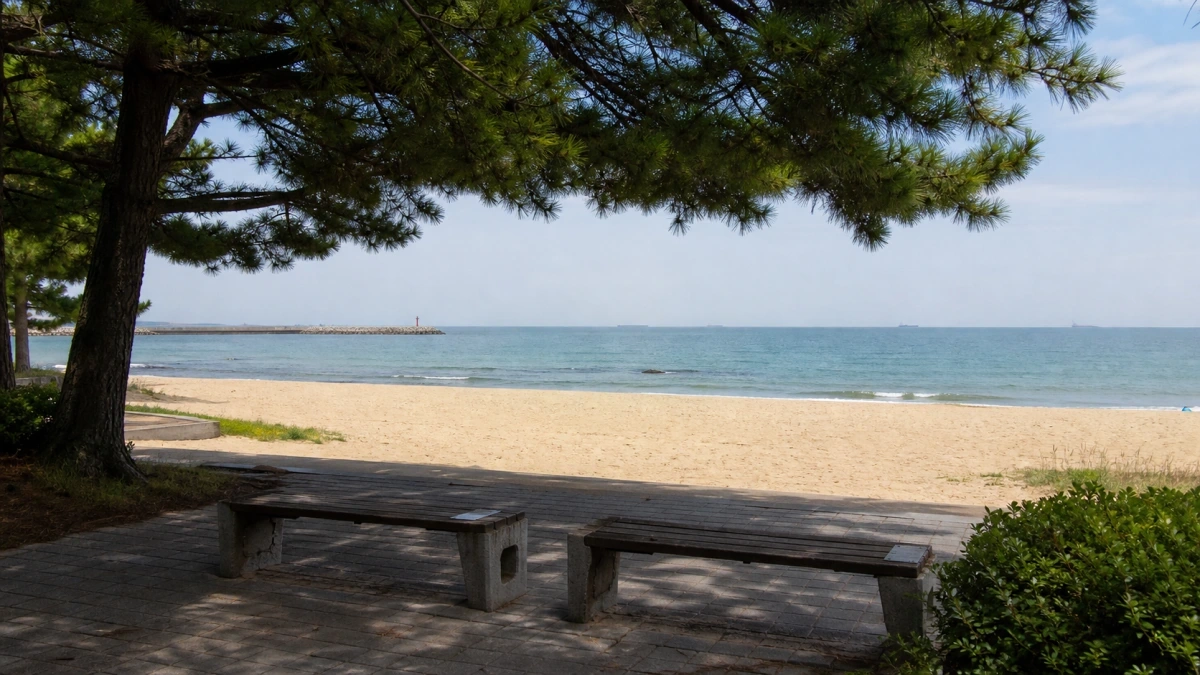 울산 일산해수욕장 바다를 바라보는 해송 그늘과 벤치
