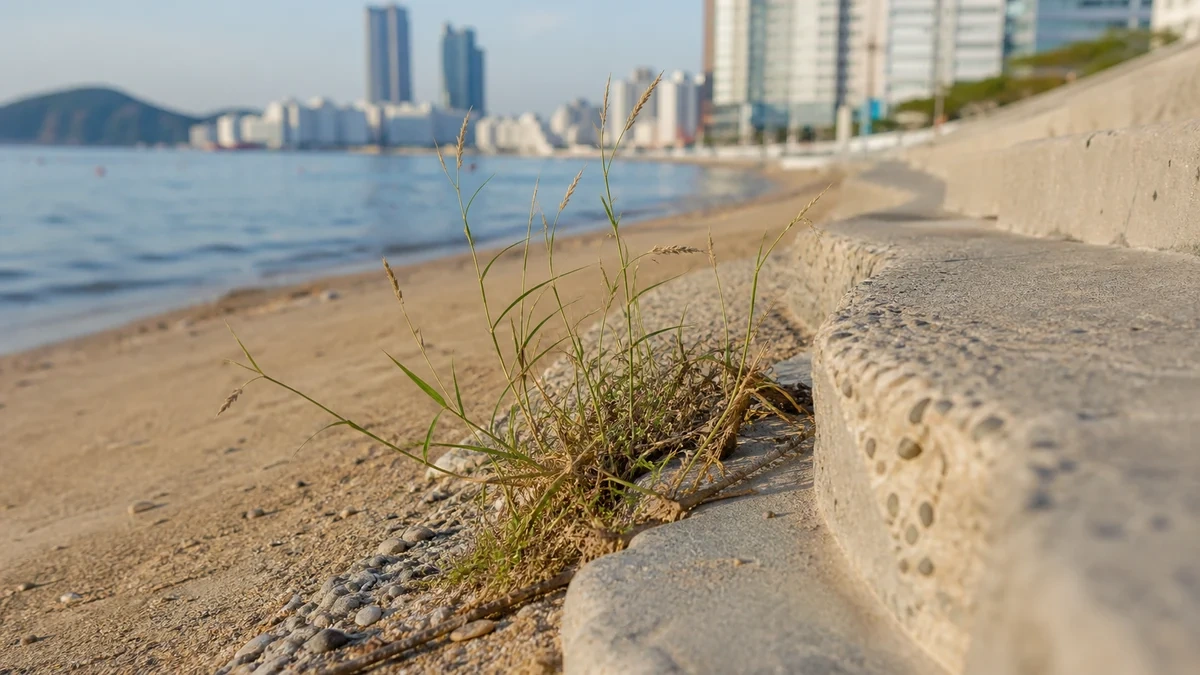 부산 광안리 해변테마거리의 밤 산책 동선과 은은한 조명