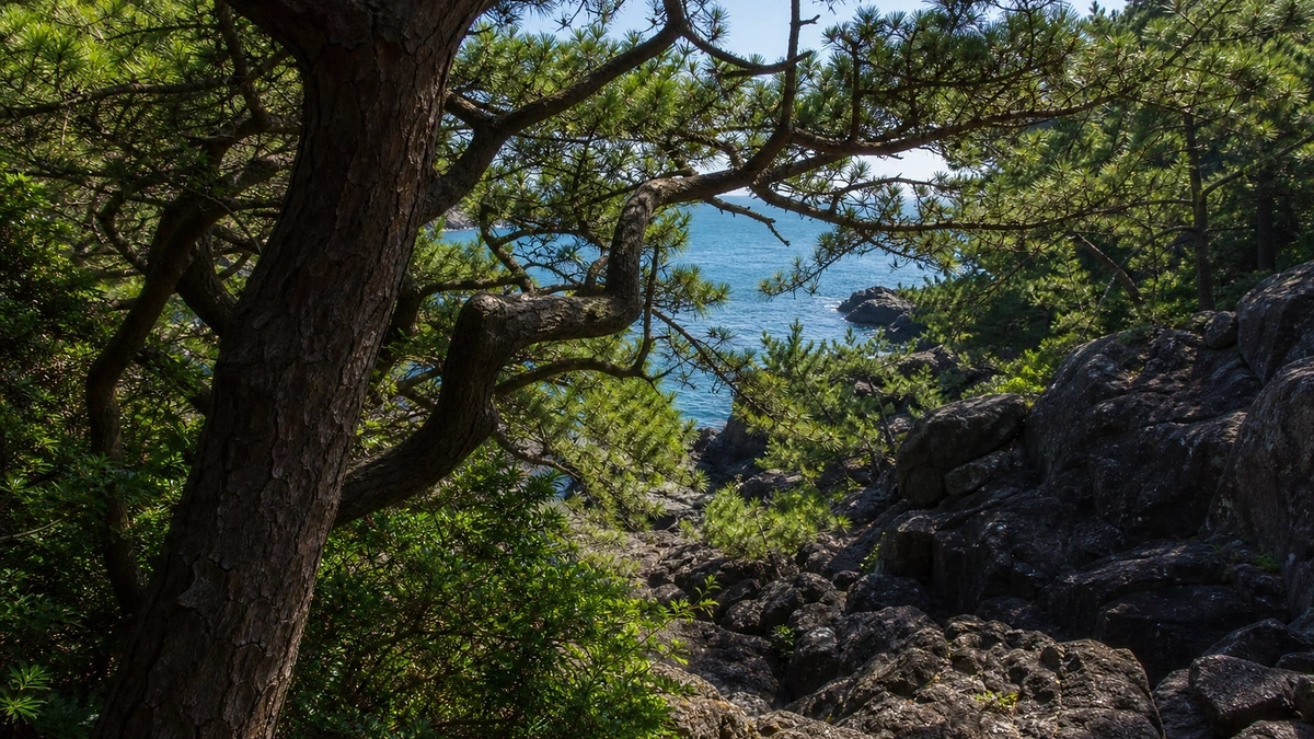 부산 암남공원 소나무 가지 사이로 푸른 바다와 검은 해안 암반이 보이는 숲 디테일