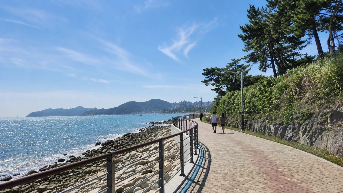 송도해수욕장에서 암남공원 방향으로 이어지는 해안 이동 산책로
