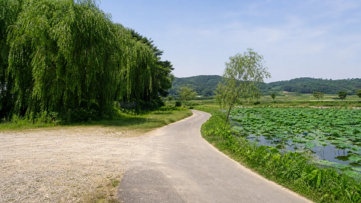 당진 합덕제 연꽃밭 옆 농촌 진입도로 접근 장면