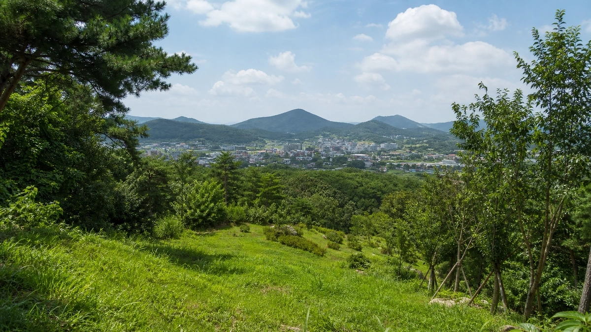 강화 남산근린공원 대표 전경과 강화읍 조망