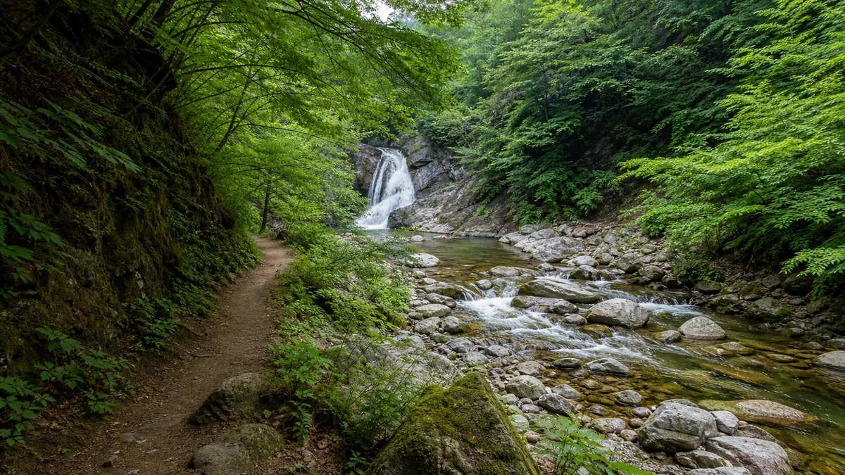 가평 북면 상류 계곡길을 따라 숲길과 계류, 작은 자연 폭포가 이어지는 이동 장면