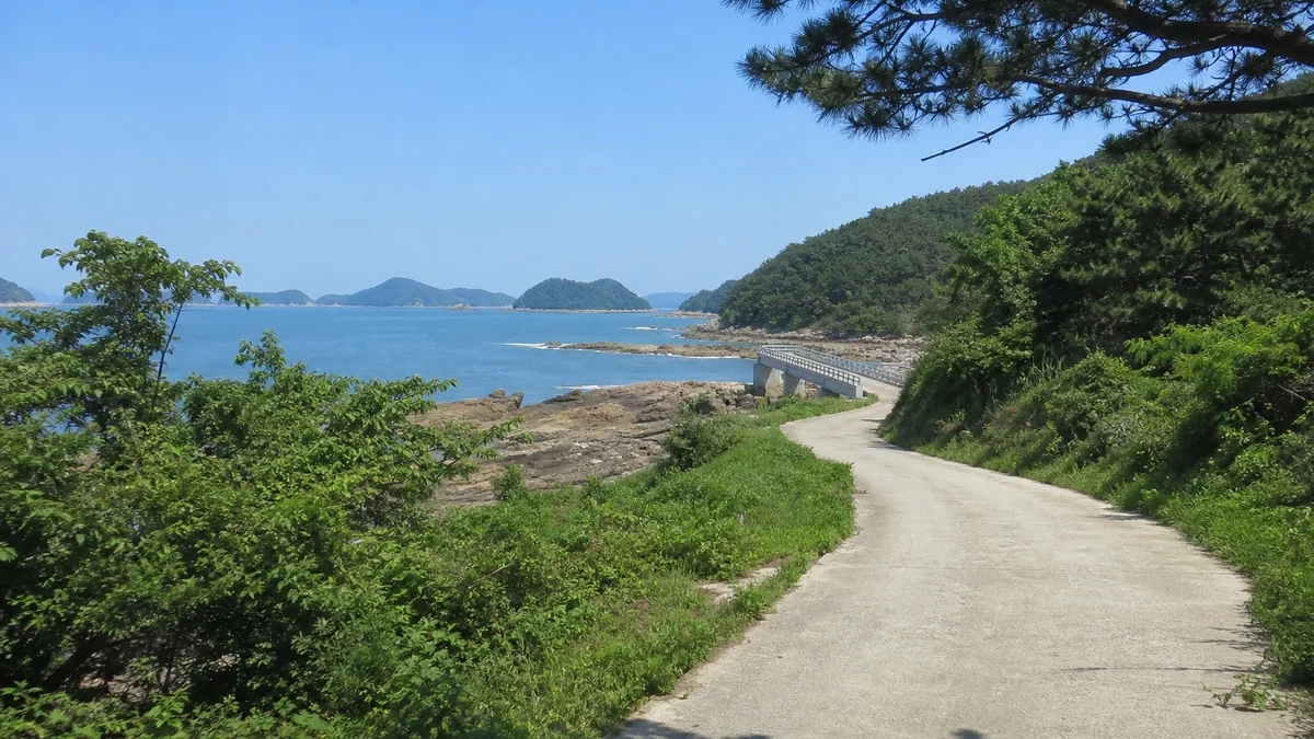 군산 무녀도 해안도로에서 바다와 작은 다리로 이어지는 접근 동선