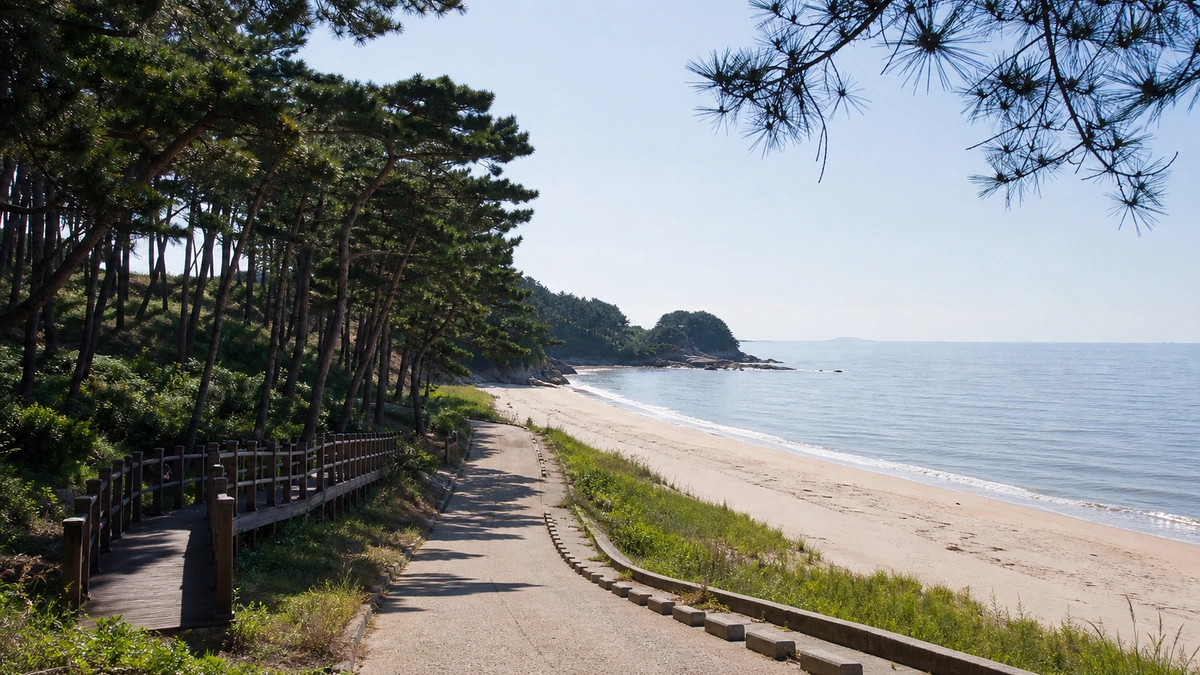 무창포해수욕장 소나무 옆 해변으로 이어지는 보행로와 진입 동선