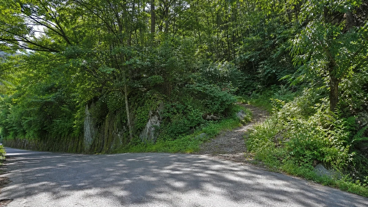 보성 용추폭포주차장 인근의 산길 진입부와 숲으로 이어지는 접근 도로