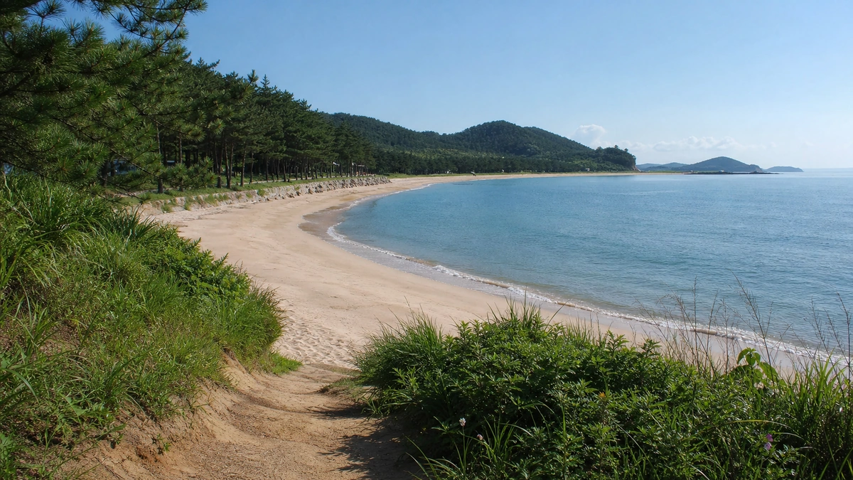 고흥 남열해돋이해수욕장의 완만한 모래사장과 푸른 바다, 송림 가장자리와 해변 진입로 장면