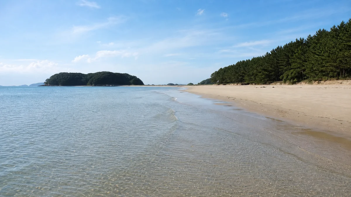 해변으로 이어지는 무창포 접근 도로와 송림 가장자리