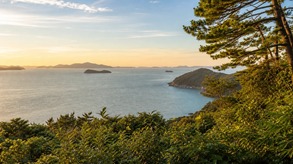 약산 해안 치유의 숲에서 바라본 섬 사이 바다의 늦은 오후 빛