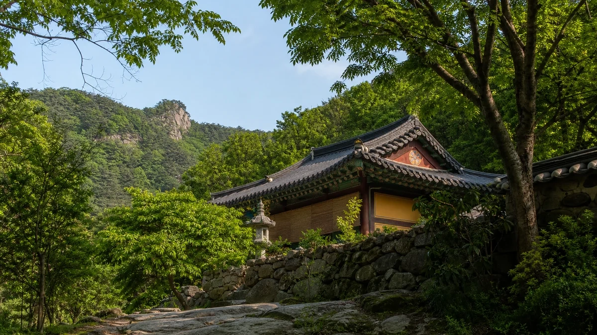순창 강천산 강천사 전각과 돌담, 뒤편 산자락이 보이는 여름 사찰 공간
