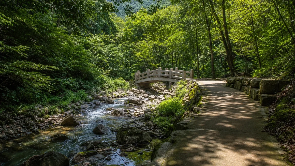 순창 강천산군립공원 계곡 옆 산책로와 작은 다리, 숲으로 이어지는 접근 동선