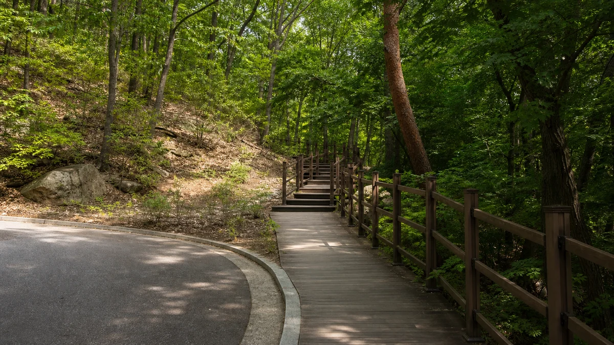 용인자연휴양림 포장 진입로에서 목재 데크와 계단으로 이어지는 접근 동선