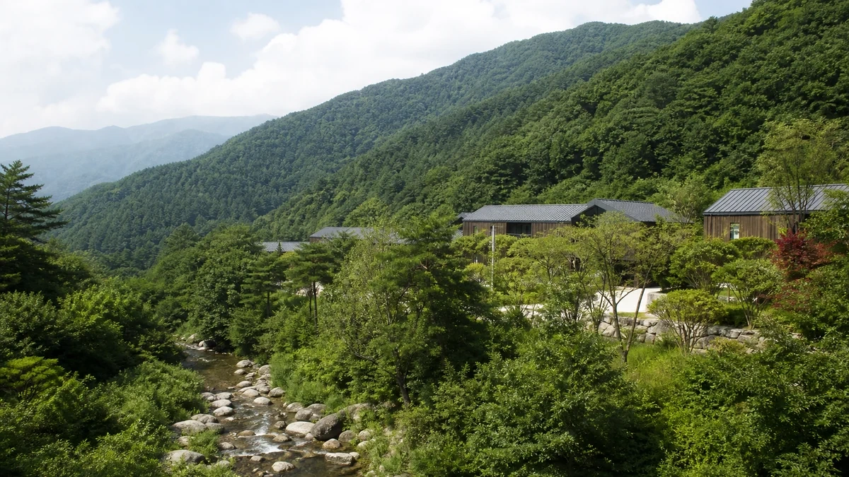 홍성 남당항 천수만의 낮은 해안선과 갯벌 물길이 보이는 여름 대표 전경