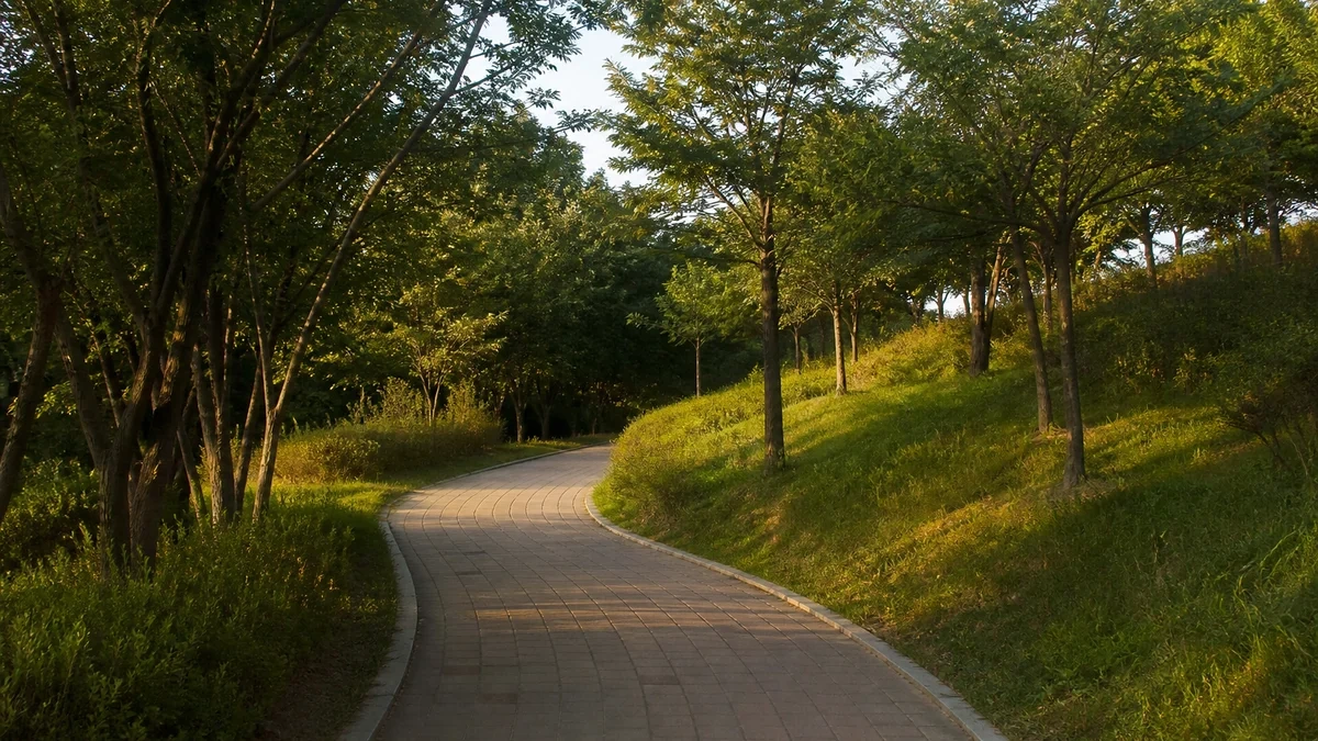 여름 해질녘 공원 보행로의 따뜻한 빛