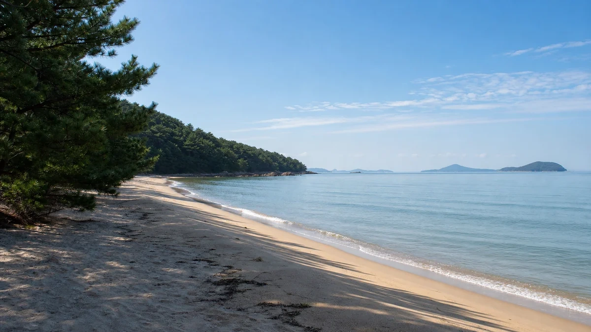 서초 공원 산책로의 여름 저녁빛과 젖은 보행로