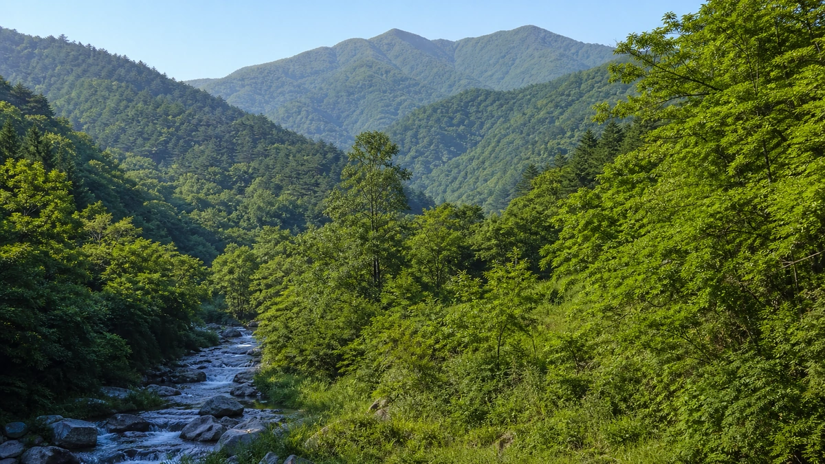진안고원 산악 능선과 계곡 전경