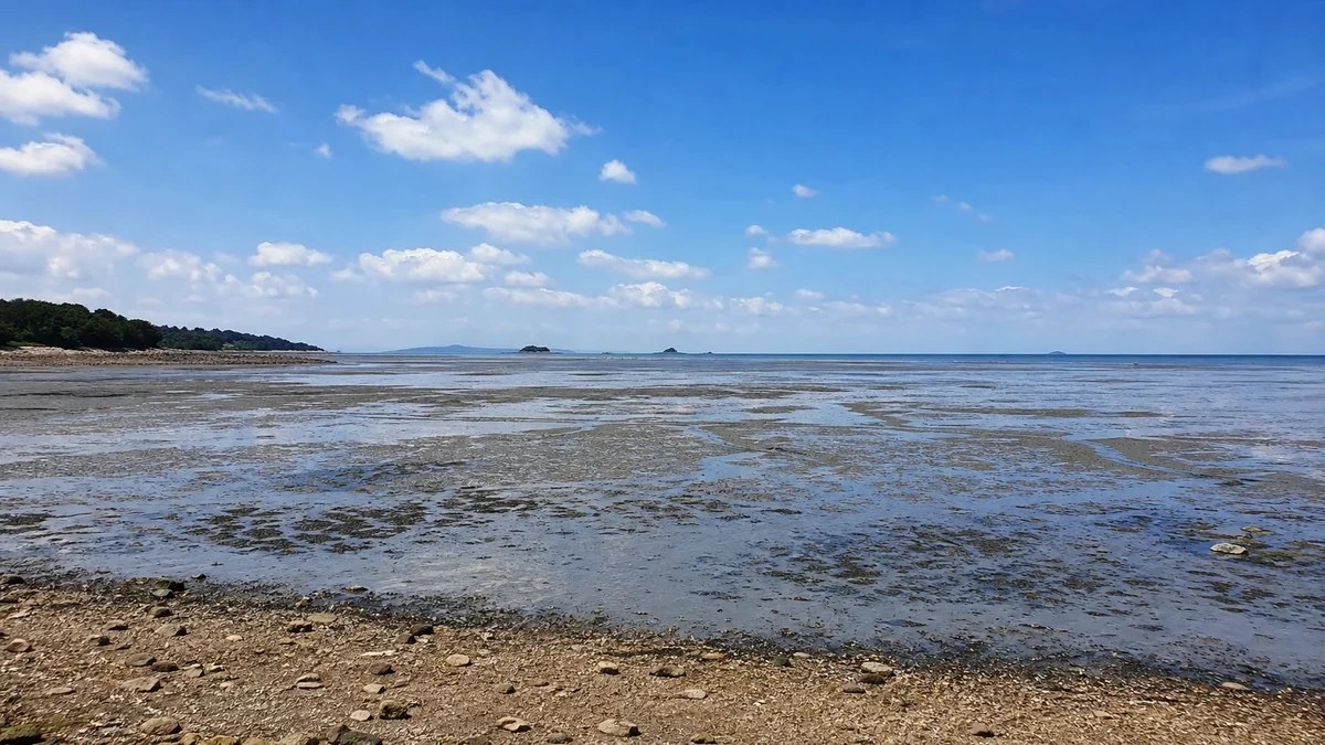 천수만과 남당항 해안의 낮 대표 전경
