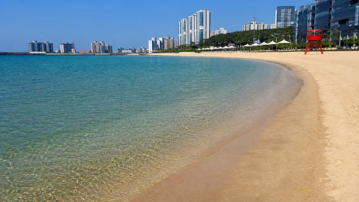 맑은 여름 낮의 일산해수욕장 얕은 물과 백사장이 도시 배경과 만나는 장면