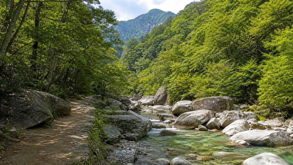 홍류동계곡의 큰 바위와 얕은 물길, 그늘진 산책로