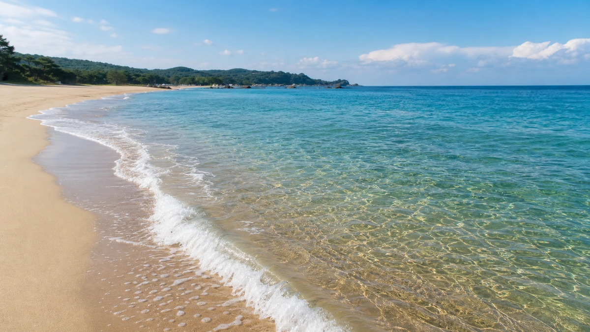 삼척해변 맑은 물빛과 잔잔한 파도가 모래사장에 닿는 장면