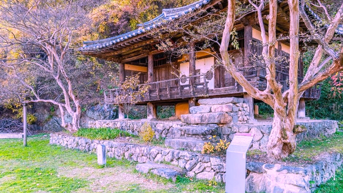 체화정 정자와 연못 주변 정원이 함께 보이는 여름 장면