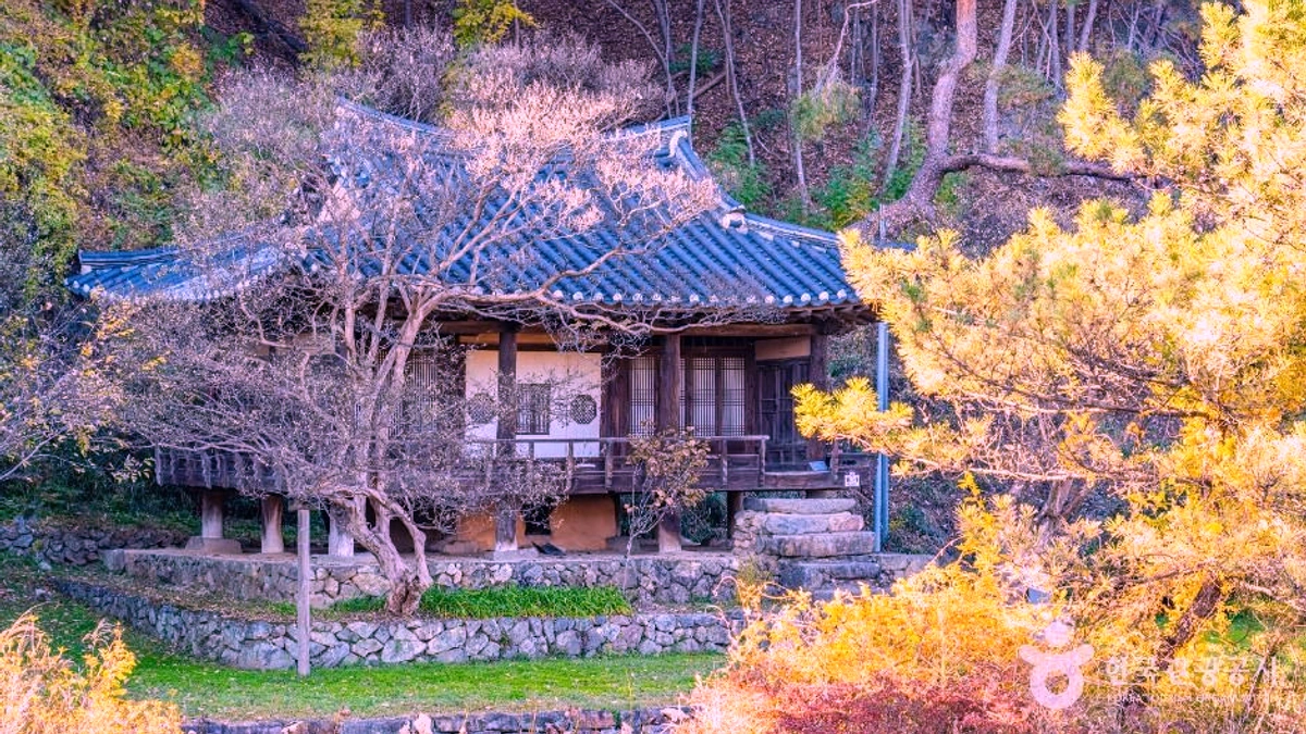 체화정 담장과 한옥 기와지붕이 이어지는 접근 공간