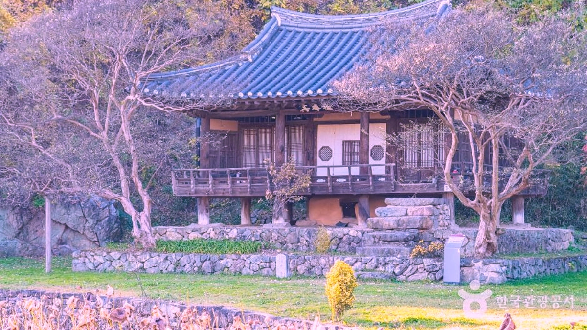체화정 전통 정자와 주변 나무가 어우러진 열린 전경
