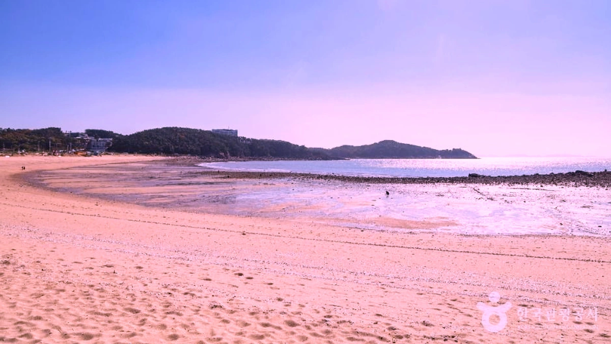 왕산해수욕장 입구와 해변 안내 공간이 보이는 주광 장면