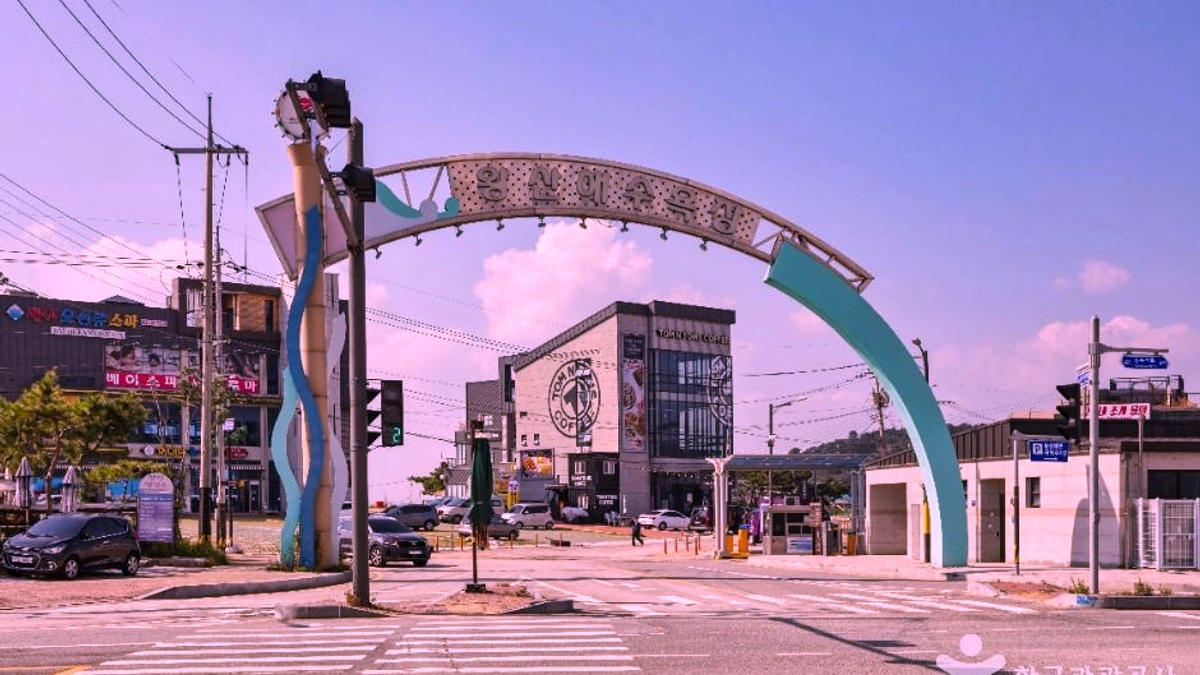 왕산해수욕장 소나무와 모래사장 너머 바다가 보이는 전망