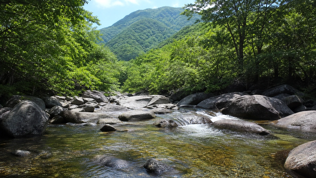 가평 도심 골목과 낮은 상점가가 밝게 보이는 거리 전경